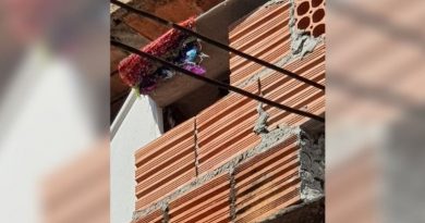 crianca_foi_790x444_30012021182740