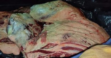 up_ag_25180_28fe1aca-3d97-fe23-8d5c-f5755d9eb9cc