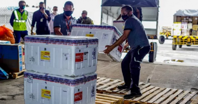 61 mil doses das vacinas AstraZeneca, da Oxford, chegaram ao Pará — Foto: Agência Pará
