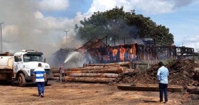 8354cf9d-9110-4ed7-b95f-65b089ab330d-e1615334895960