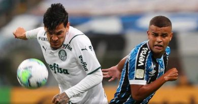 gremio-x-palmeiras-copa-brasil-2021-cesar-Greccodiv-990x556
