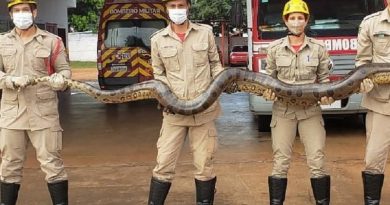 sucuri-e1616164432920