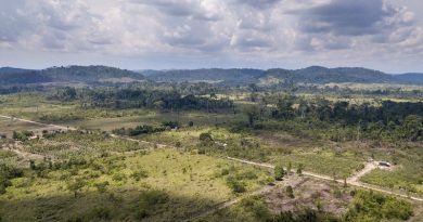 Assentamento Terra Nossa, (foto: Arquivo)