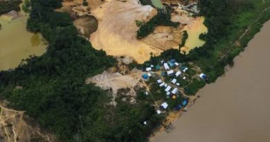 terra indigena yanomany