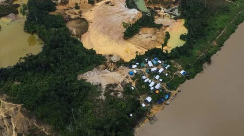 terra indigena yanomany