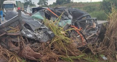 a568d799-0009-43f8-a4f6-5ec18fb62653