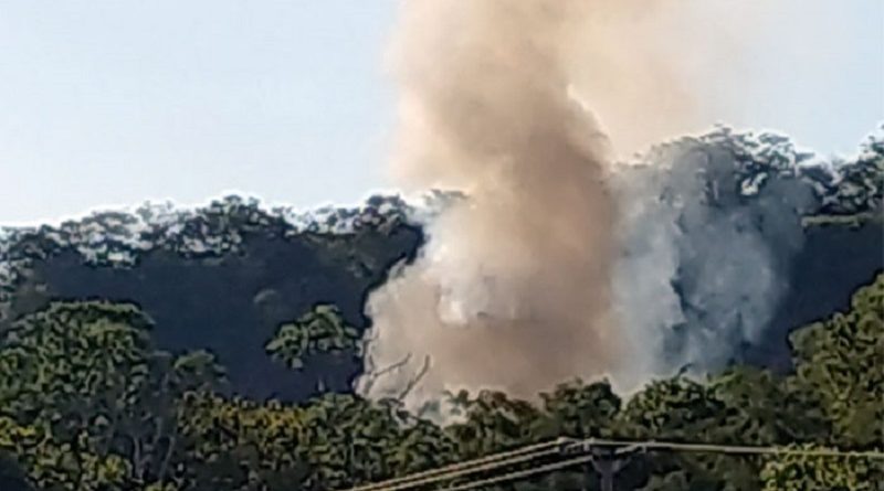 Avião-cai-matagal-Mato-Grosso-1-junho-2021-reprodução-