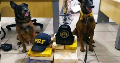 PRF-caes-apreendem-drogas-maraba-que-sairam-do-nortao-700x556