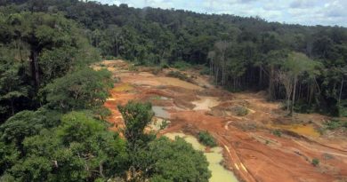 policiafederaloperacaocrassa2409201292_00669241_0_