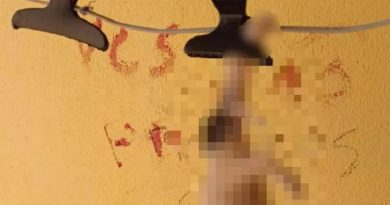 vizinho-mata-cachorros-1280x720