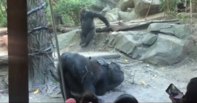 imagem-2021-09-28-195601