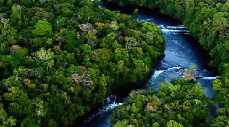 Rio Azul Jungle Lodge, localizada na cidade de Novo Progresso, no Pará. (Foto>Reprodução)