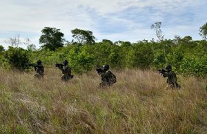 Ministério da Defesa/Divulgação