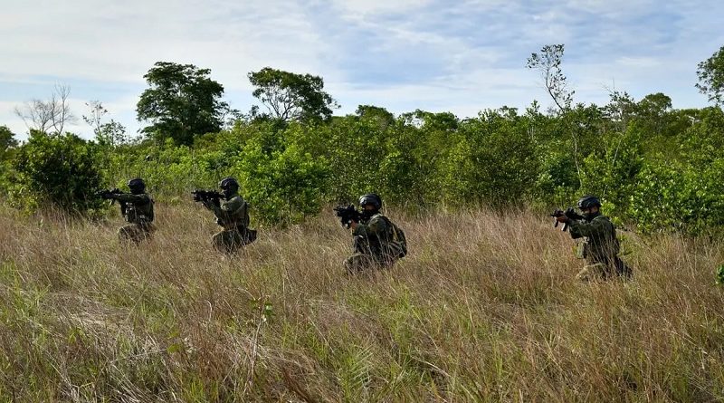 Ministério da Defesa/Divulgação