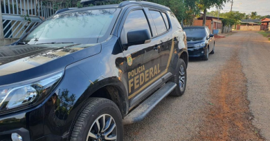 federal
