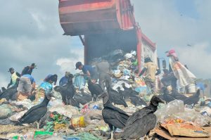 Quando o caminhão chega, há correriaJoão Paulo Guimarães/Especial para o Metrópoles