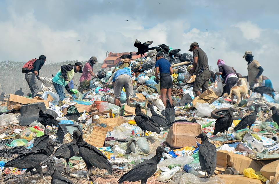 Animais disputam o lixo com os catadoresJoão Paulo Guimarães/Especial para o Metrópoles