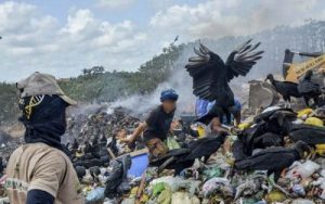 DSC_2625-600x400-1-600x400