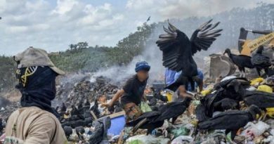 DSC_2625-600x400-1-600x400