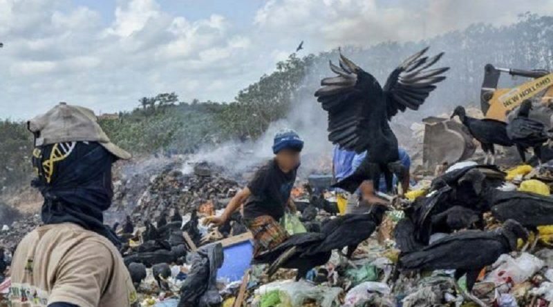 DSC_2625-600x400-1-600x400