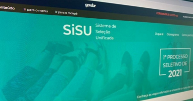 sisu