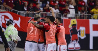 51715505497_163f1da572_c