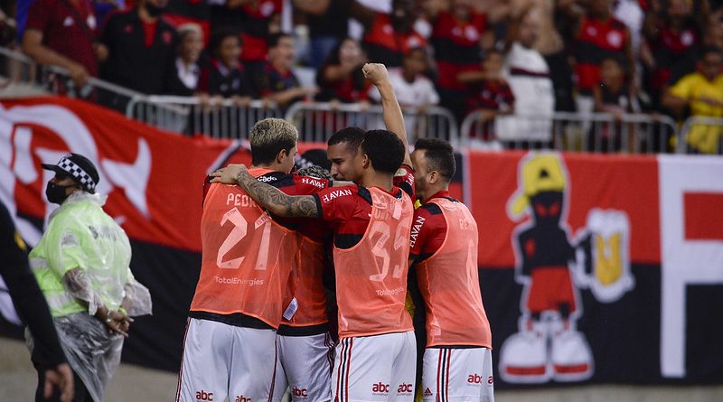 51715505497_163f1da572_c