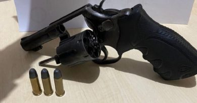 Arma-Debate-Carajas-2-1-768x639