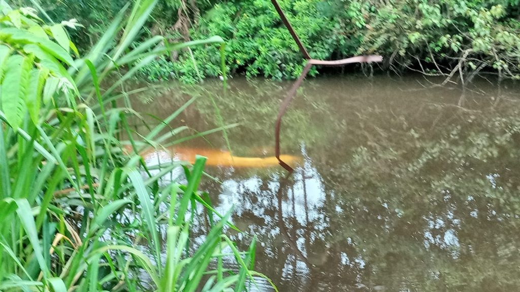 IMG-20211216-WA0160 (1)