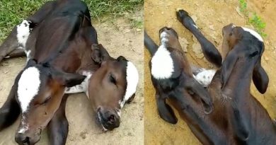 WhatsApp-Image-2021-12-16-at-094316_00687976_0_