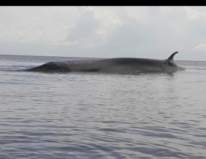 WhatsApp-Image-2021-12-30-at-173154_00690014_1_