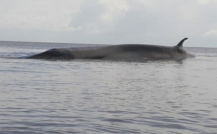 WhatsApp-Image-2021-12-30-at-173154_00690014_1_