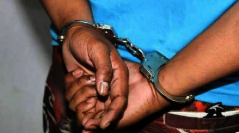 algemmam-e1639929414462