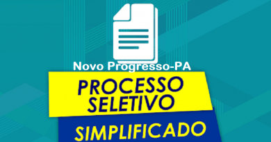 proceso seletivo