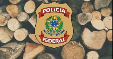 8e4245ed-7da9-4b56-9b4c-f09f08300489