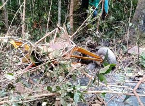 c80b6914-bfb0-439d-a678-94de798a729b