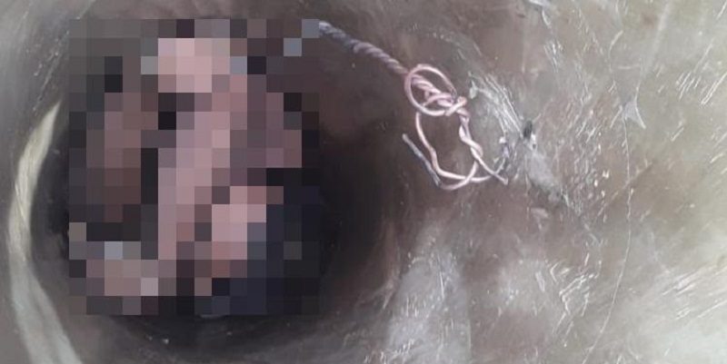 portaldoholanda-whatsappimage2022-01-02at212441-1125885