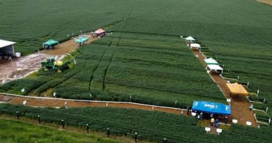 up_ag_34207_290e66de-32cc-86c8-eb9c-f996a6aef383