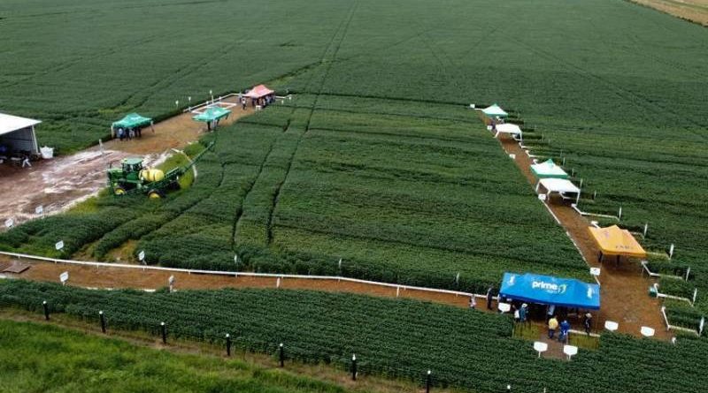 up_ag_34207_290e66de-32cc-86c8-eb9c-f996a6aef383