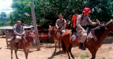 desaparecido na mata