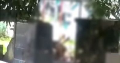 portal-servidor-PA_00700410_0_