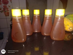 O mel fomenta a renda nas comunidades- MRN7