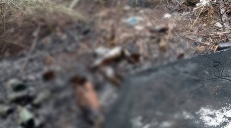 WhatsApp-Image-2022-04-30-at-21.22.01