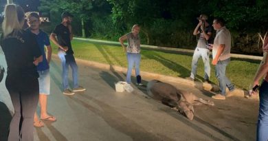 b0e20d88-cc10-4367-9084-4ef12df78a9b-1024x576