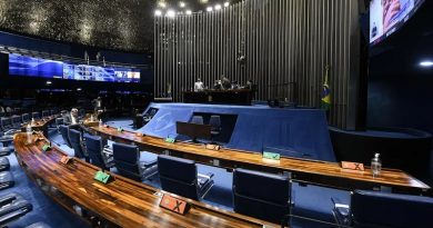 Plenário do Senado — Foto: Jefferson Rudy/Agência O Globo