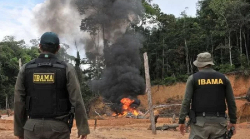 ibama destroi