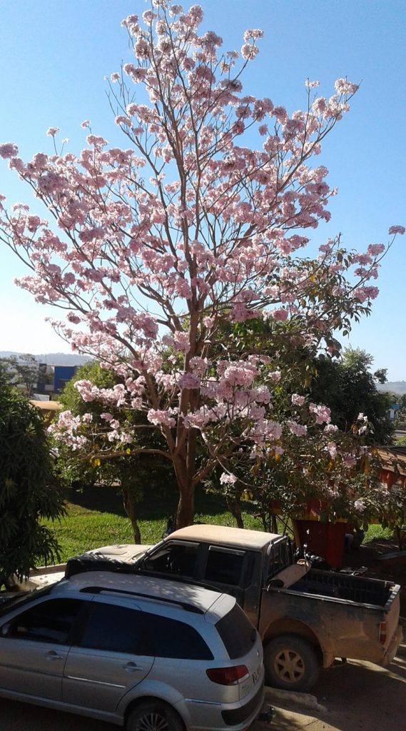 36737916_10212649732784286_7919407458844409856_n