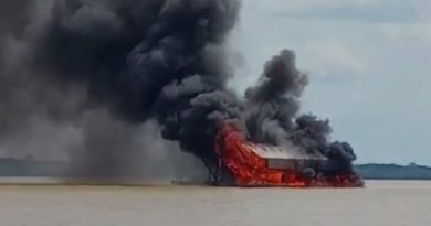 balsa garrimpo madeira