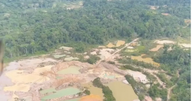 Do alto, é possível ver a extensão dos danos causados à Terra Indígena Do alto, é possível ver a extensão dos danos causados à Terra Indígena (Polícia Federal / Assessoria de Comunicação)