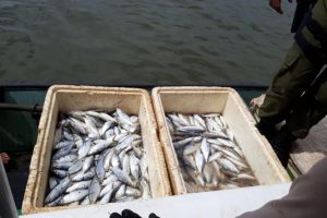 da1db550-7488-4b2a-9a55-e5b32269bf7f